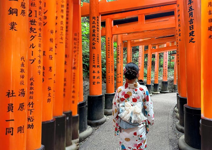6 Days Kyoto & Osaka Cultural Immersion