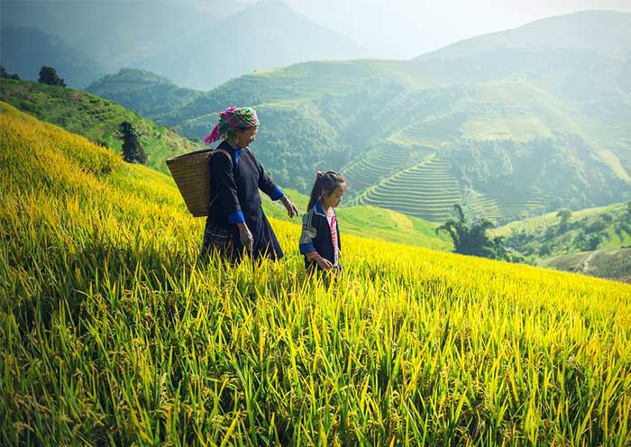 7 Days Northern Vietnam Tour: Nature, Ethnic Culture, Hiking & Cruise - 2