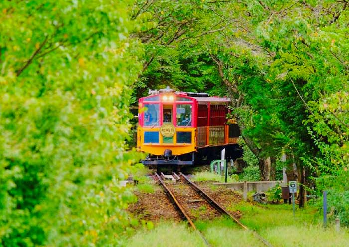 7 Days Japan Family Tour with Kids - From Tokyo Disneyland to Kyoto, Nara & Osaka - 3