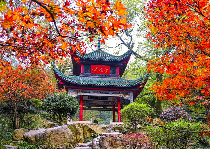 8 Days Hunan Highlight Tour: Vivid Changsha, Zhangjiajie, Furong & Fenghuang Town - 4