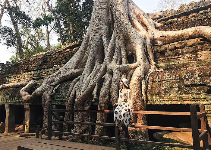 5 Days In-depth Angkor Wat Tour, Cambodia : All Must-See & Hidden Gems, Sunrise, Sunset - 3