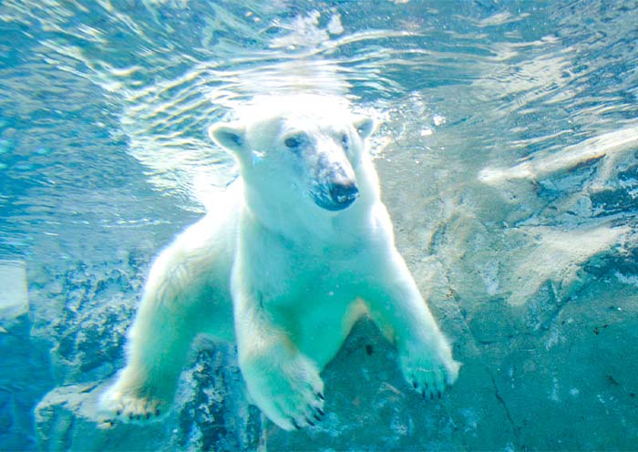 8 Days Hokkaido Summer Tour: Colorful Family Vacation on Hokkaido Island - 3