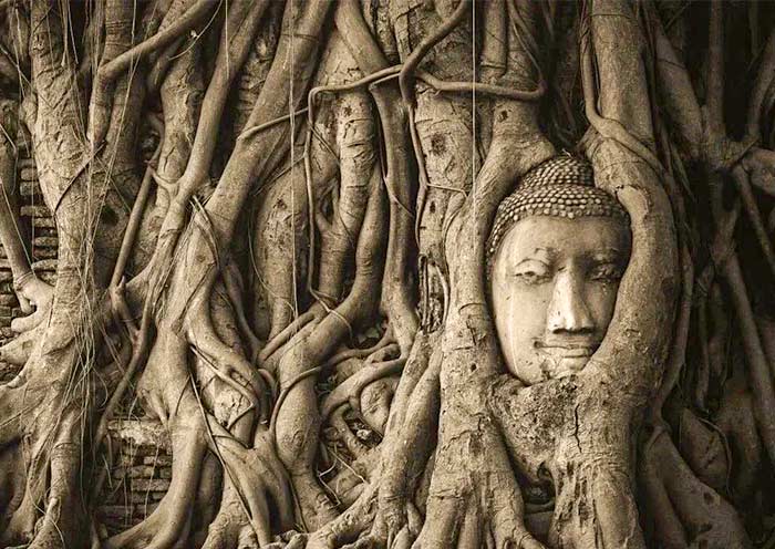 7 Days Classic Thailand Tour Package to Bangkok, Chiang Mai & Phuket - 3