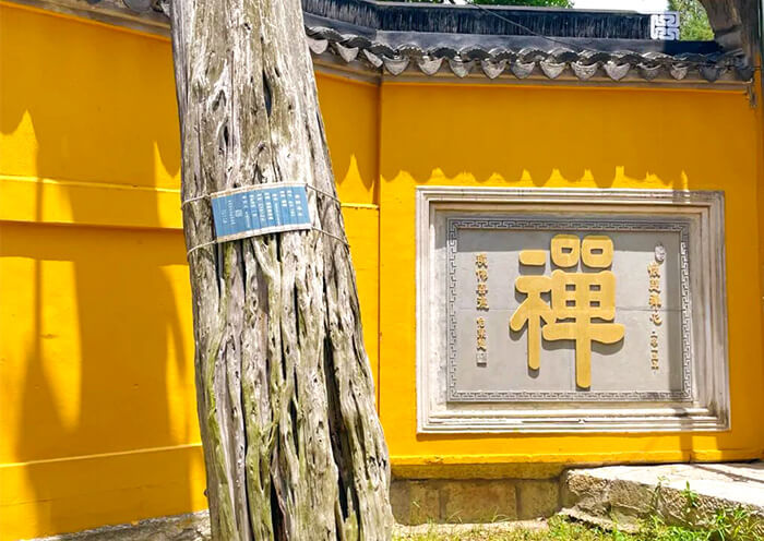 2 Days Suzhou Tour from Shanghai: Zen Dialogue, Garden, Old Town - 2