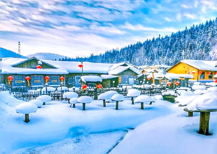 5 Days Harbin & China Snow Town Tour: From Ice Kingdom to Snowy Fairy Tales
