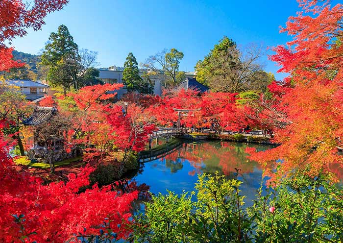 8 Days Japan Autumn Leaves Tour: Golden Route from Osaka to Tokyo - 2