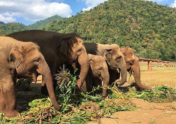 12 Days Malaysia Thailand Tour: Kuala Lumpur to Phuket Island Holiday - 1