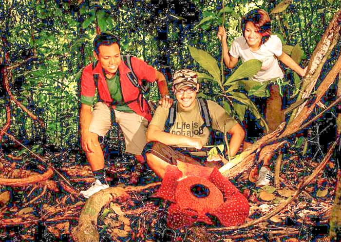 10 Days West Malaysia Tour | Nature & Culture Highlights in Peninsular Malaysia - 1