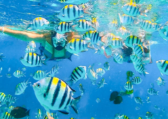 10 Days Bali Lombok Gili Tour: Best Party Island Adventure
