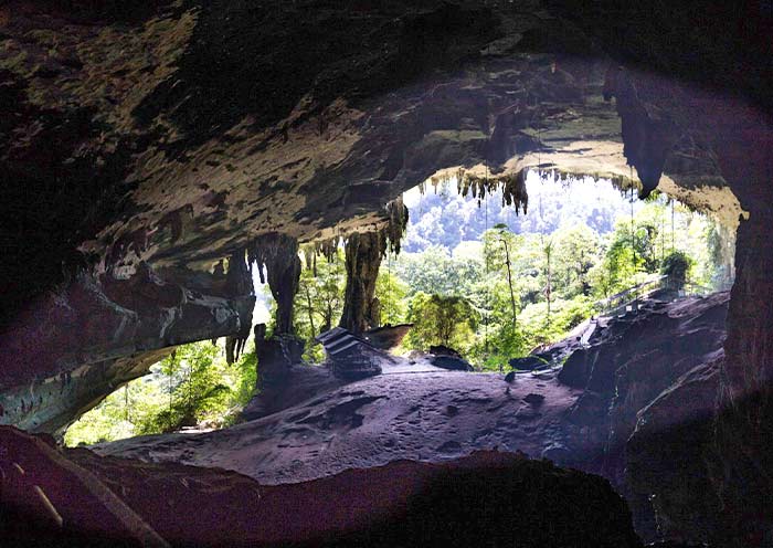 12 Days Borneo Adventure Tour: Wild Expeditions in Sabah & Sarawak - 2