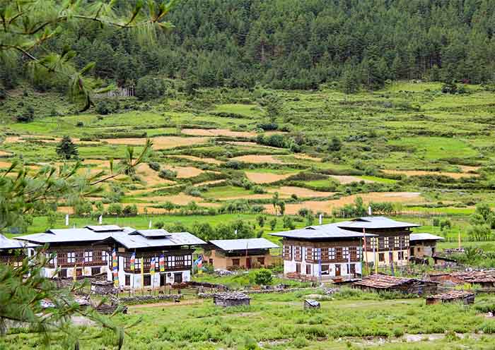 9 Days Bhutan Group Tour with Phobjikha & Haa Valley (Western Panorama) - 2