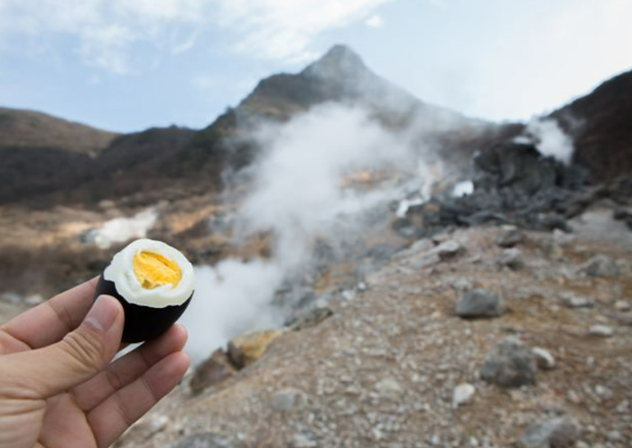 6 Days Japan Highlights Tour with Mt. Fuji & Hakone Onsen (Hot Spring Tour) - 2