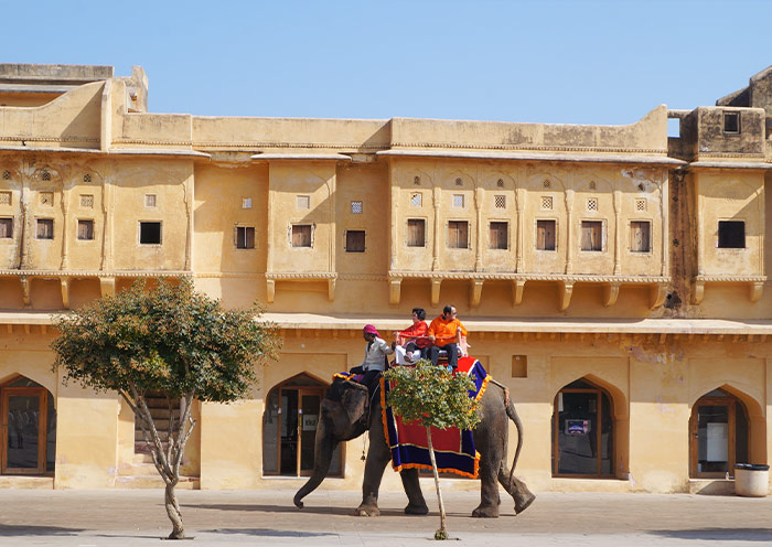 7 Days India Golden Triangle Group Tour: Delhi Agra Jaipur - Classic Route - 4