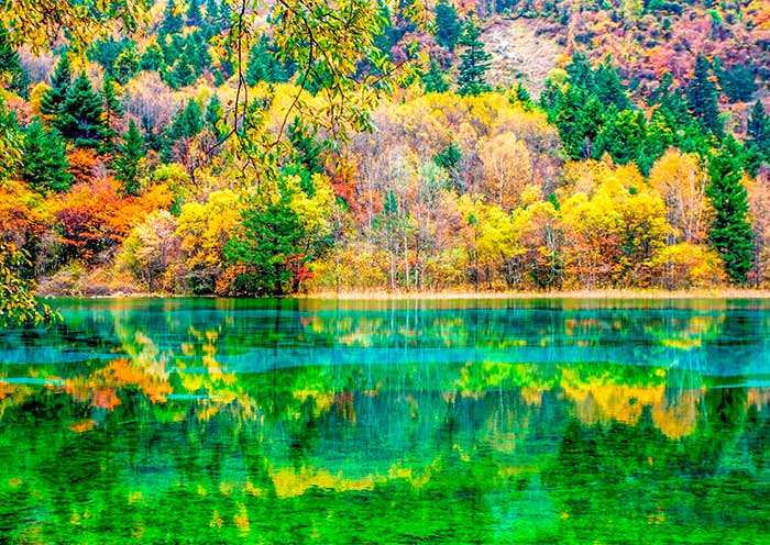 9 Days Chengdu Jiuzhaigou Zhangjiajie Tour: Pandas, Lakes & Avatar Mountains