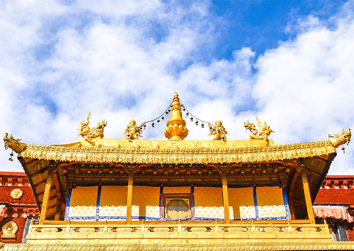 8 Days Lhasa Yamdrok Shigatse Group Tour with Everest Base Camp - 4