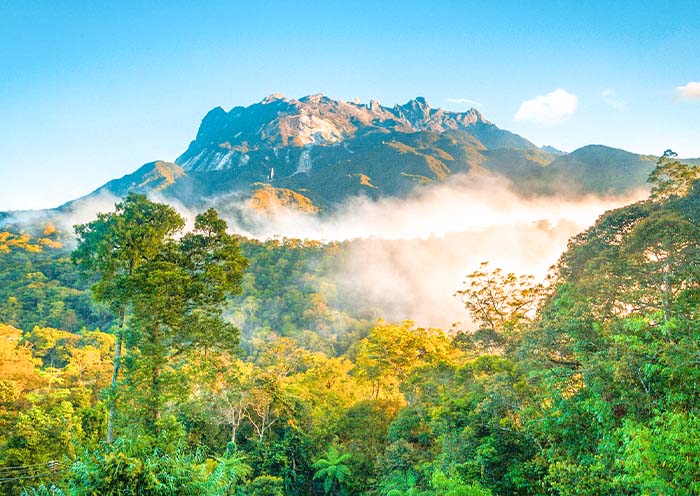 12 Days Borneo Adventure Tour: Wild Expeditions in Sabah & Sarawak - 3