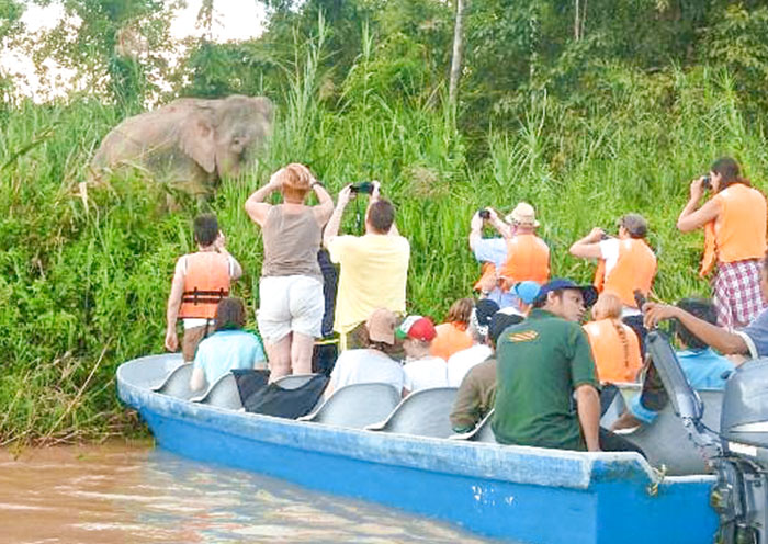12 Days Borneo Adventure Tour: Wild Expeditions in Sabah & Sarawak - 4