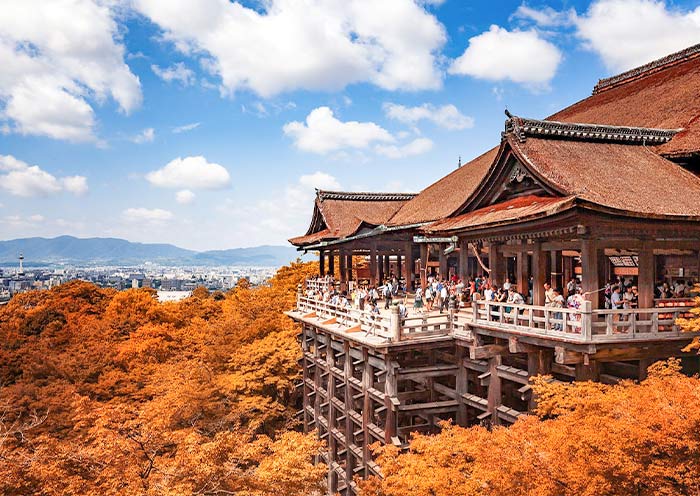 7 Days Japan Essential Tour: Tokyo Kyoto Nara Osaka (Basic Golden Route) - 3