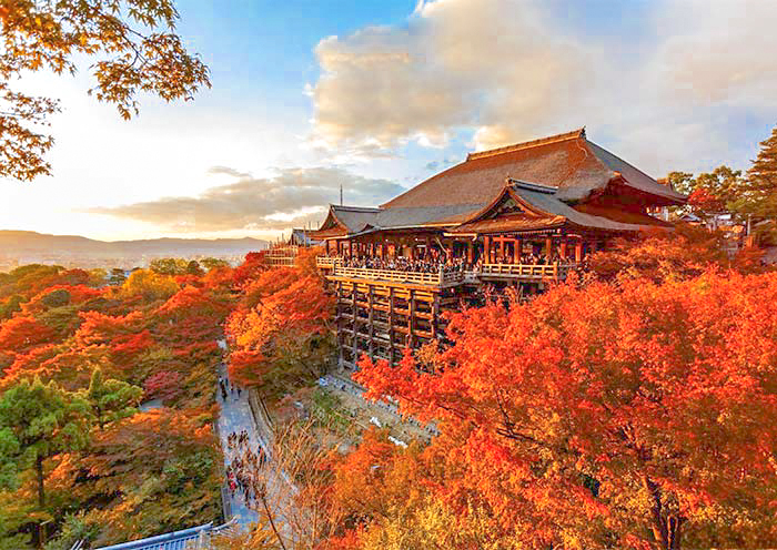 8 Days Japan Autumn Leaves Tour: Golden Route from Osaka to Tokyo