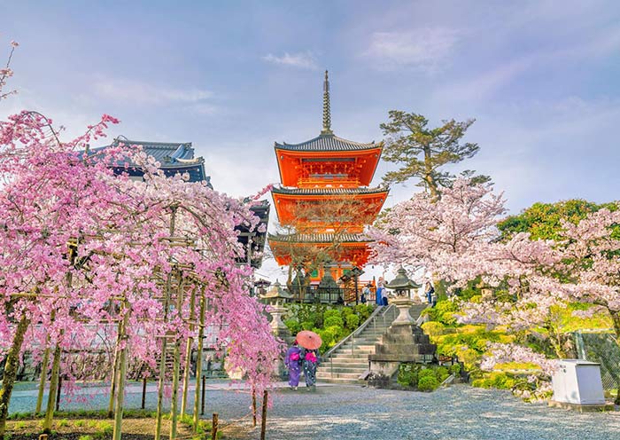 10 Days Japan Tour: New Golden Route with Hiroshima & Uji (Osaka to Tokyo)