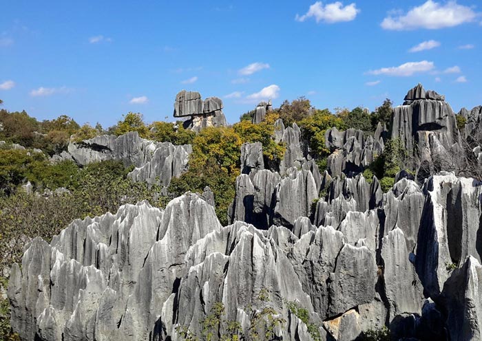 3 Days Kunming World Heritage Tour: Explore the Spring City & Stone Forest - 3