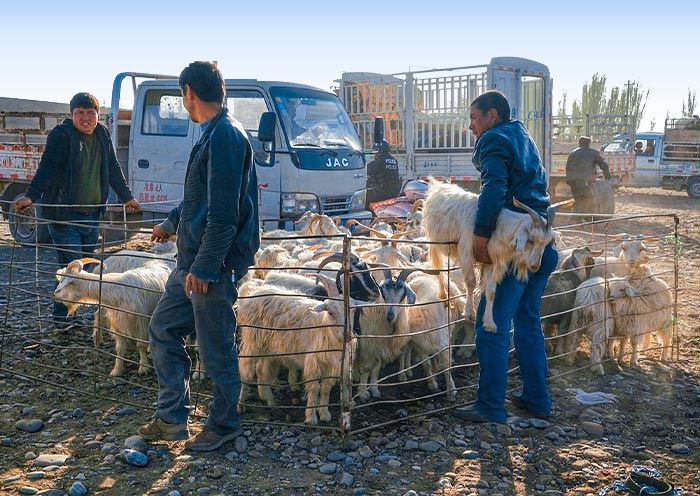 7 Days Classic Xinjiang Tour for First-Timers: Urumqi Tianchi Turpan Kashgar - 4