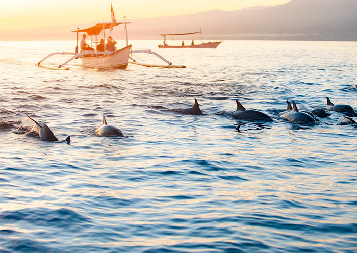 8 Days Bali Adventure Tour: From Volcano Sunrises to Ocean Adventures - 3