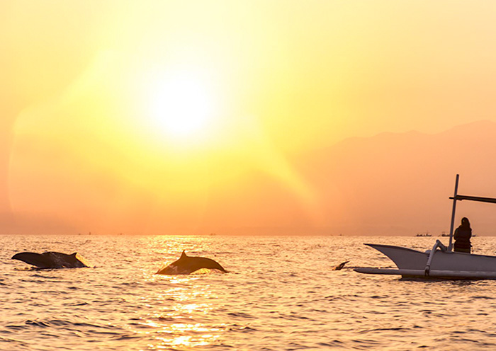 8 Days Bali Gili Honeymoon Tour: Playful Dolphin, Snorkeling