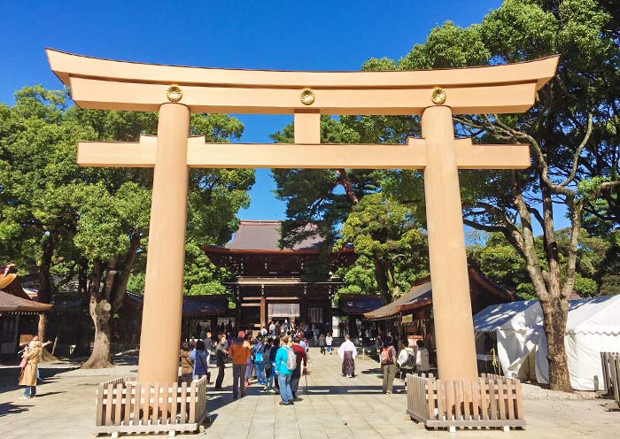 5 Days Mount Fuji Private Tour from Tokyo for First-Timers - 3