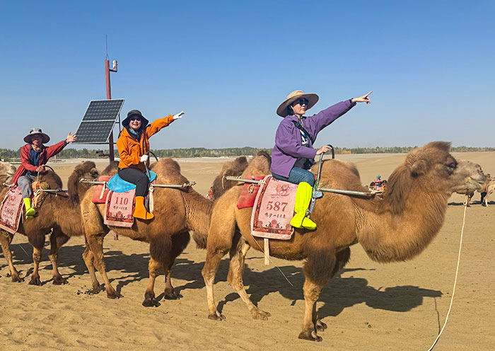 7 Days Silk Road Group Tour: Gansu & Qinghai (Ancient Silk Road Hub & Qinghai Lake) - 4