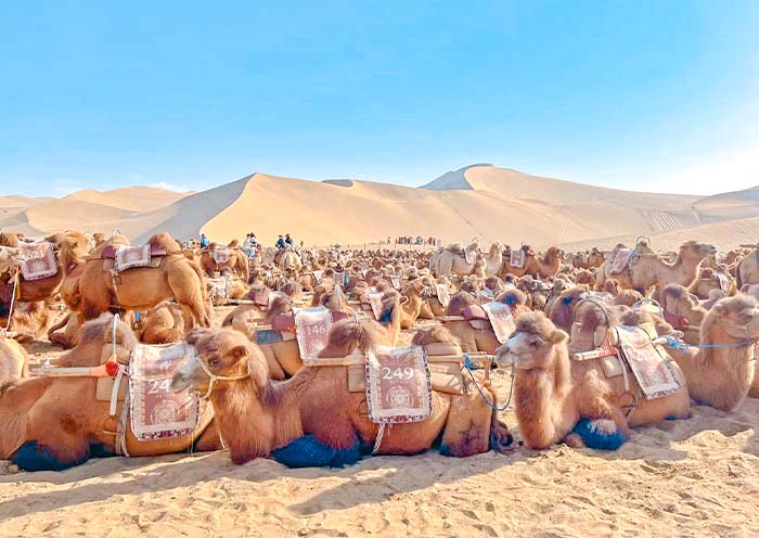 6 Days Classic Gansu Tour: Dunhuang, Jiayuguan, Zhangye & Lanzhou