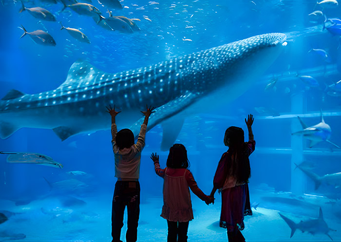 10 Days Best Japan Tour for Family - From Tokyo Disneyland to Universal Studios Japan - 4