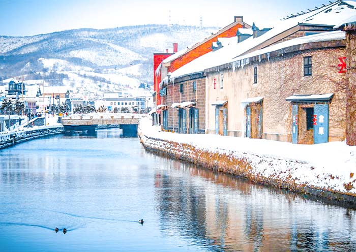 7 Days Hokkaido Winter Tour: Skiing, Onsen, Volcano & Snow Festival - 3