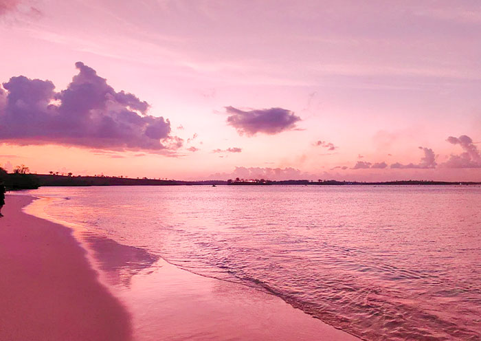 9 Days Bali Lombok Honeymoon Adventure Tour: Wild Dolphins, Pink Beach - 4