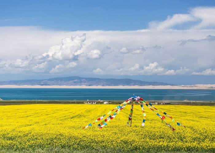 3 Days Qinghai Tour: Qinghai Lake, Chaka Salt Lake & Ta’er Monastery
