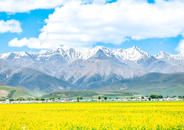 3 Days Qinghai Tour: Qinghai Lake, Chaka Salt Lake & Ta’er Monastery - 3