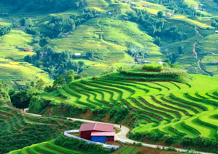 7 Days Northern Vietnam Tour: Nature, Ethnic Culture, Hiking & Cruise - 1