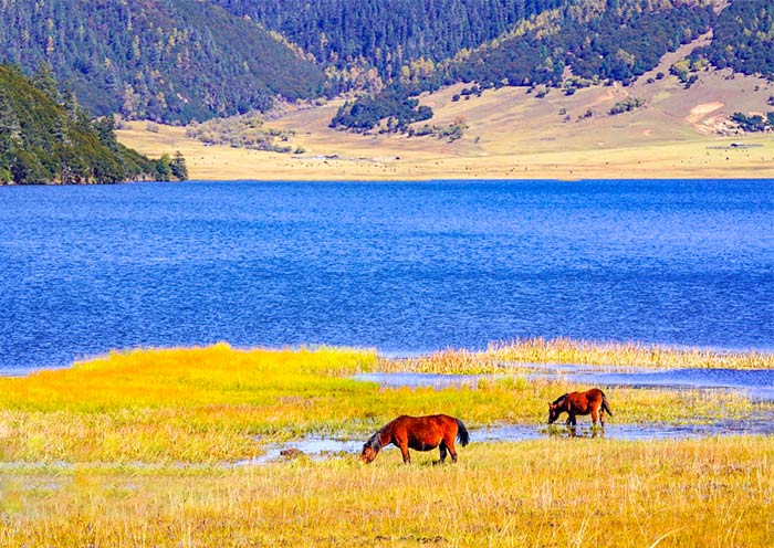 5 Days Kunming Shangri-La Tour: Stone Forest & Tibetan Pure Land - 3