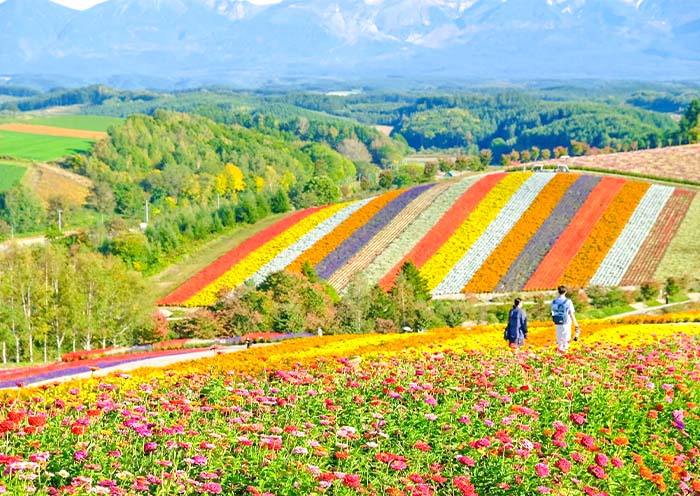 8 Days Hokkaido Summer Tour: Colorful Family Vacation on Hokkaido Island - 2