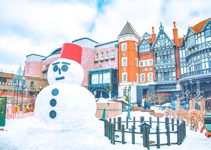 7 Days Hokkaido Winter Tour: Skiing, Onsen, Volcano & Snow Festival - 2