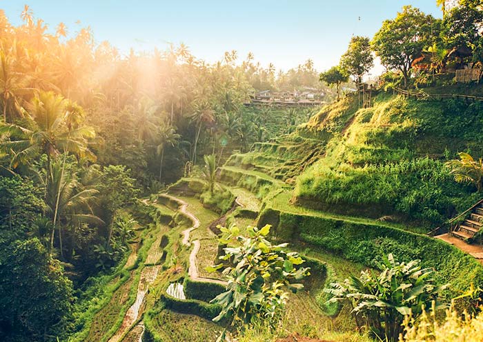 7 Days Bali Classic Tour: Culture, Nature & Island Paradise - 4