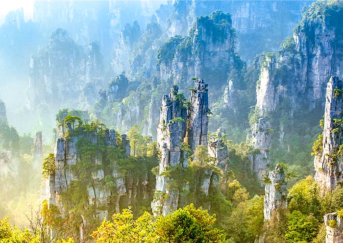 7 Days Chengdu Zhangjiajie Tour: Pandas, Buddha, Avatar Mountians, Ancient Towns
