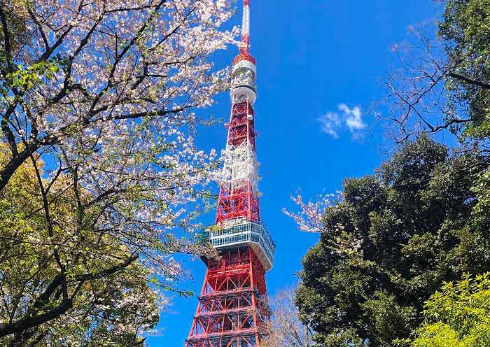 7 Days Japan Golden Route Tour in Small Group - 4