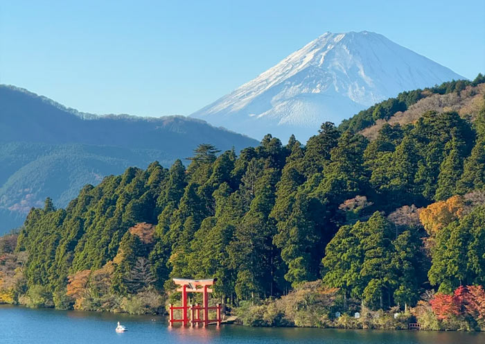 5 Days Japan Group Tour: Tokyo Kyoto Small Group Tour - 4
