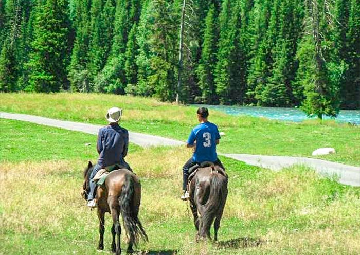 7 Days Northern Xinjiang Essential Tour: from Heavenly Lake to Kanas Lake - 2