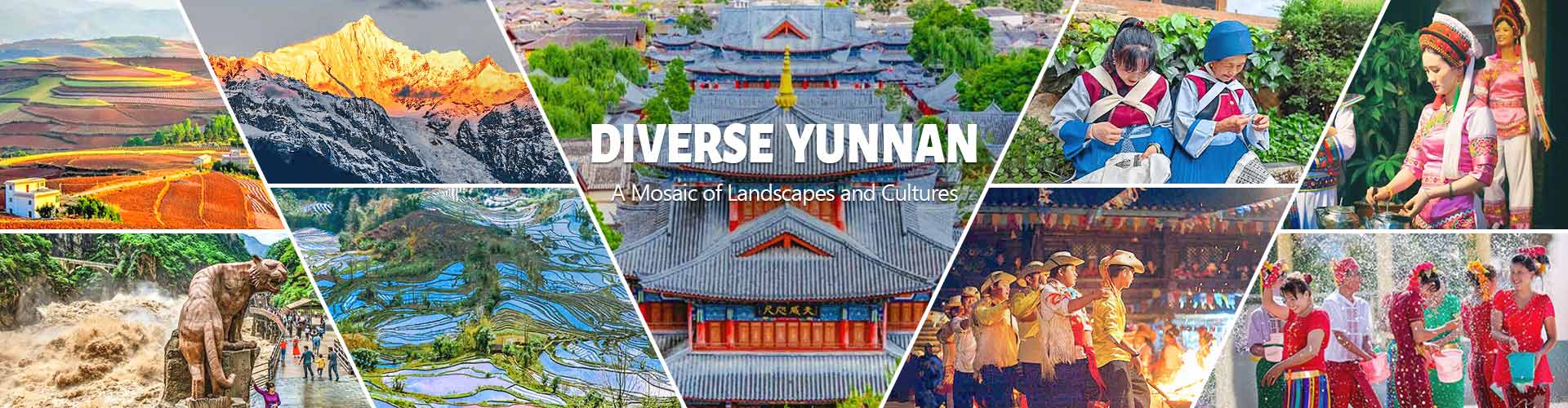 8 Days Kunming Dali Lijiang Shangri-La Tour: Yunnan Best Highlights