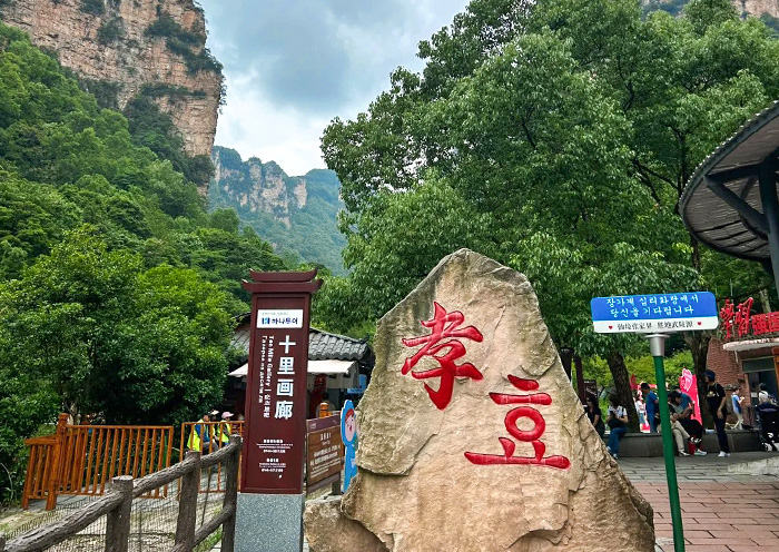 5 Days Zhangjiajie Tour from South Korea/Seoul: Mountains of Immortals, Filial Piety
